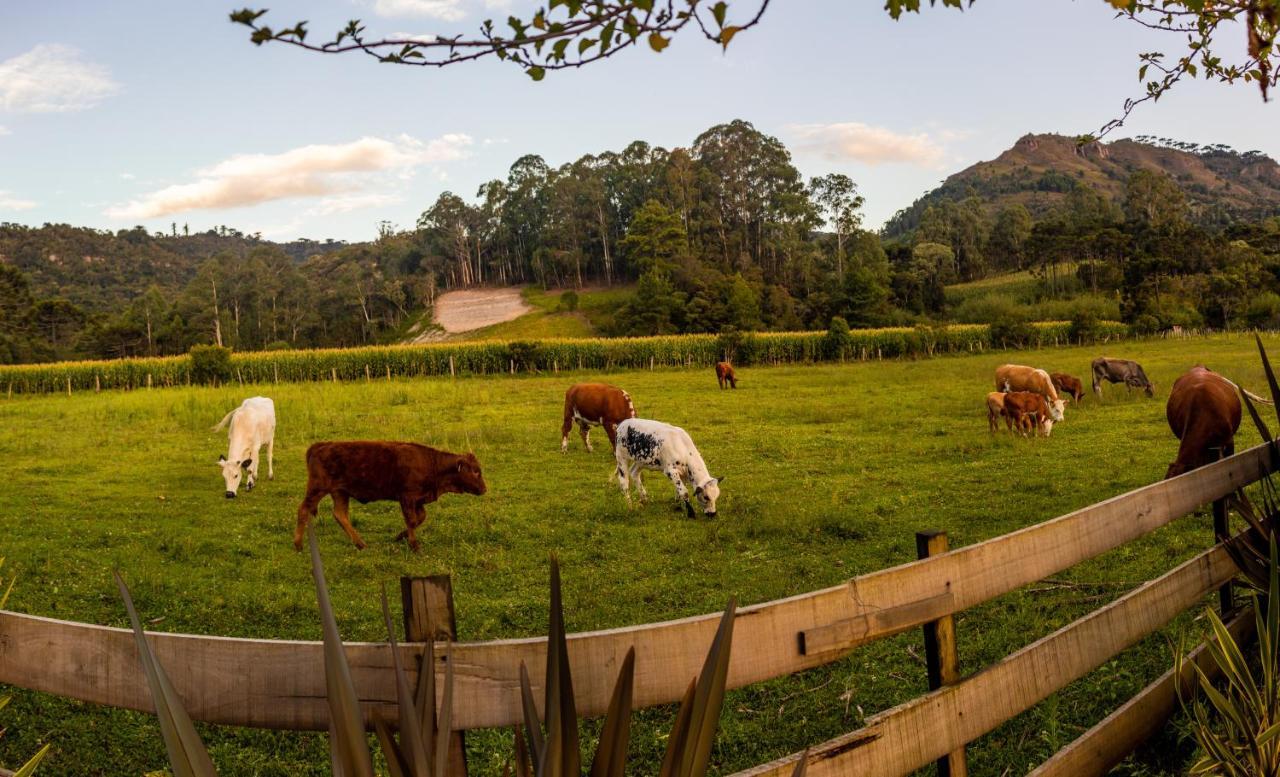 Hospedagem Rural Recanto Do Riacho Hotel Urubici Luaran gambar