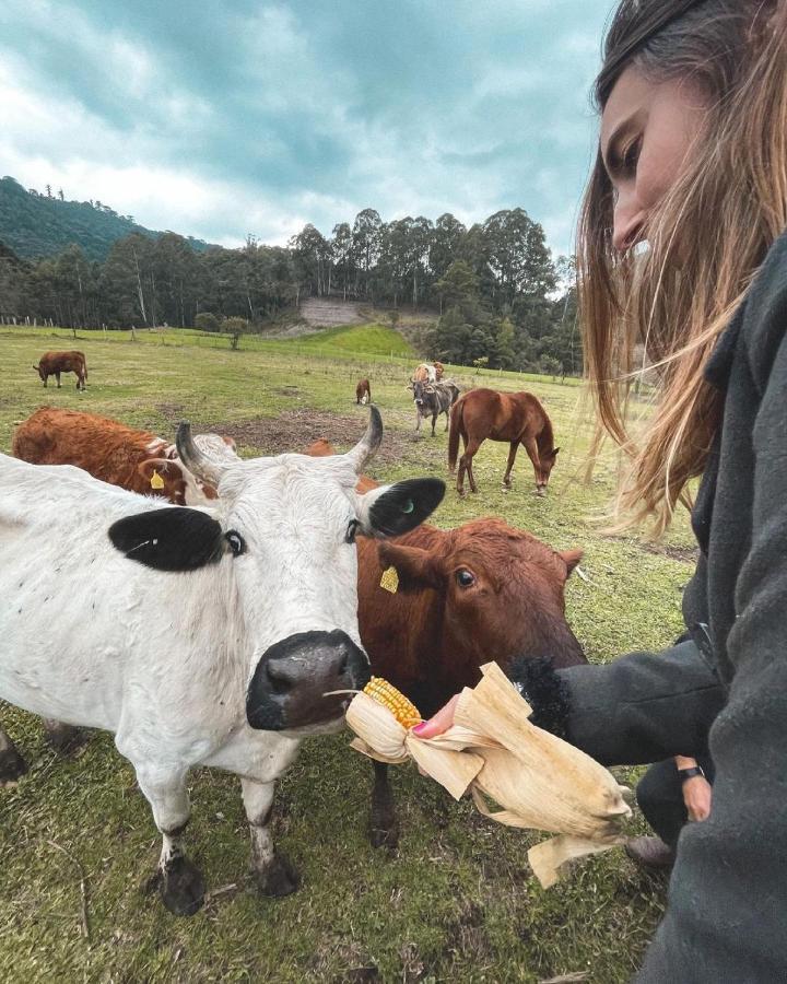 Hospedagem Rural Recanto Do Riacho Hotel Urubici Luaran gambar